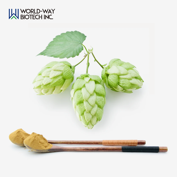 Hops Extract Hops Extract